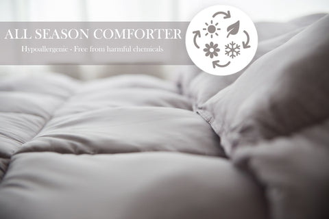 Hypoallergenic Pillowtex Dream in Color Comforter for all-season comfort.