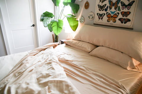 A bedroom with a bed, Pillowtex Copper Infused Bamboo Sheet Set, and a plant made of bamboo.