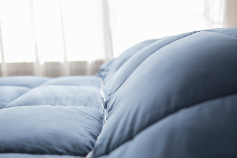 A Pillowtex Dream in Color Comforter on a bed.