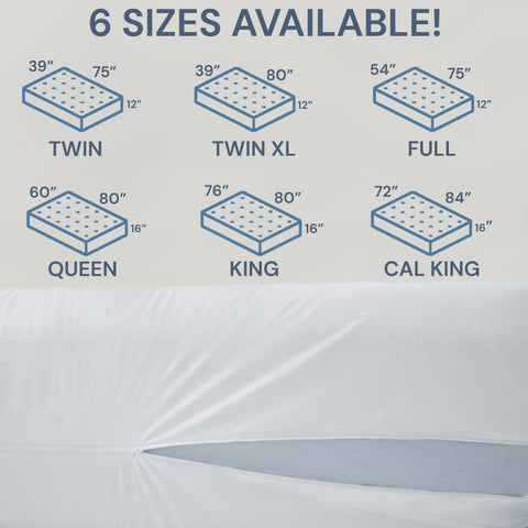 An infographic showing mattress sizes labeled from smallest to largest: twin, twin xl, full, queen, and king, with corresponding dimensions. Below is an image of a white waterproof Pillowtex Deluxe Mattress Protector fitted on a