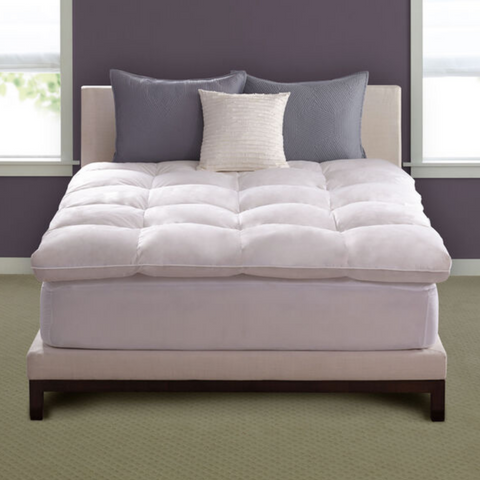 A neatly made contemporary bed with a plush Hollander Chaps Baffle Box Feather Bed topper, crisp white linens, and a coordinated arrangement of pillows against a soothing purple wall, offering a tranquil sleeping environment with unparalleled comfort.