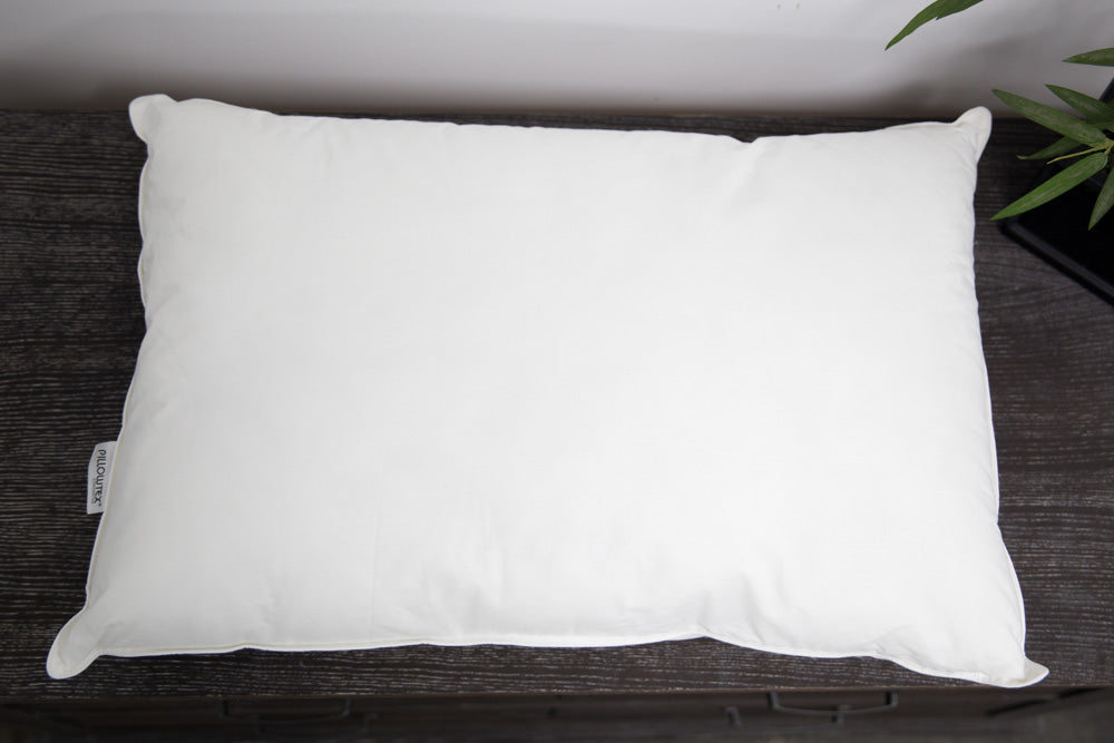 Pillowtex White Goose Feather and Down Body Pillow - 20 inch x 72 inch, Size: 20x72