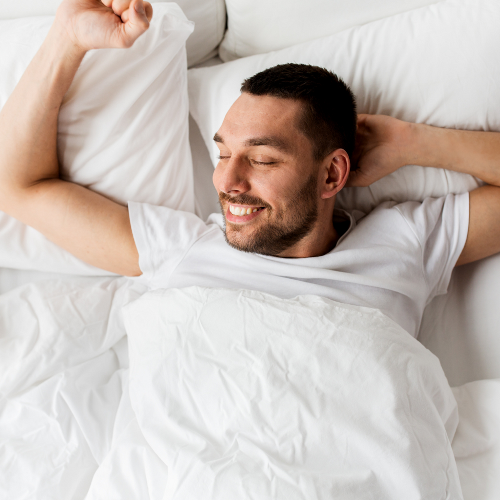 Down Etc. Aquaplush Pillow Pillows