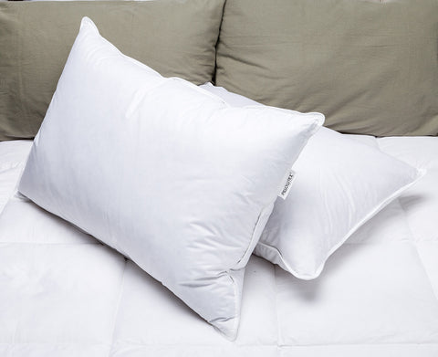 Two Pillowtex Premium Polyester Pillows, resting on a bed.