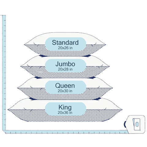 An illustrated guide showing different pillow sizes: standard (20x26 in), queen (20x30 in), and king (20x36 in), with a ruler for scale, highlighting the Hollander Holiday Inn<sup>®</sup> Soft Support Pillow | Blue Cord Polyester.