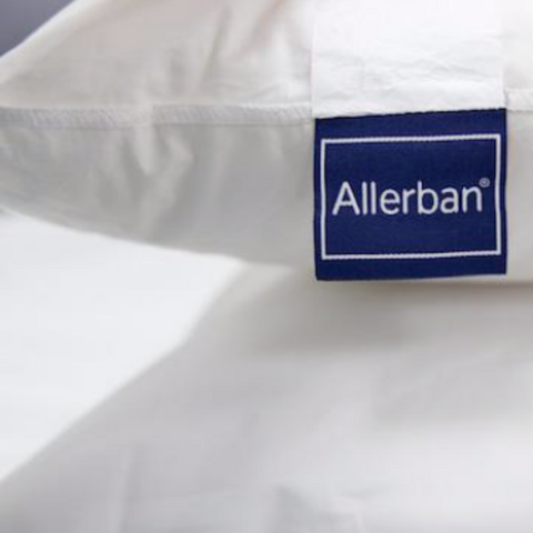 This hypoallergenic Pillowtex pillow features a blue label, perfect for anyone looking to combat dust mites.