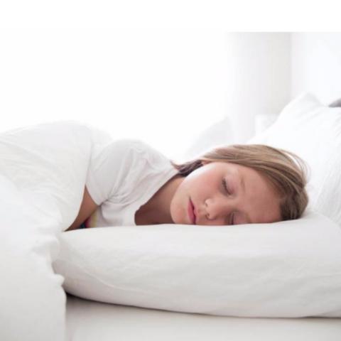 A young girl sleeping on a Final Sale: Pillowtex Allerban Polyester Pillow in a white bed.