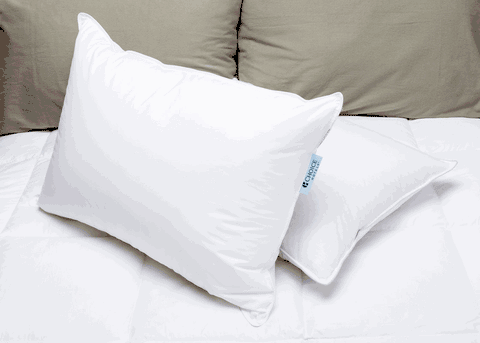Two Keeco Choice Hotels® Soft and Firm Polyester Pillows on the bed.