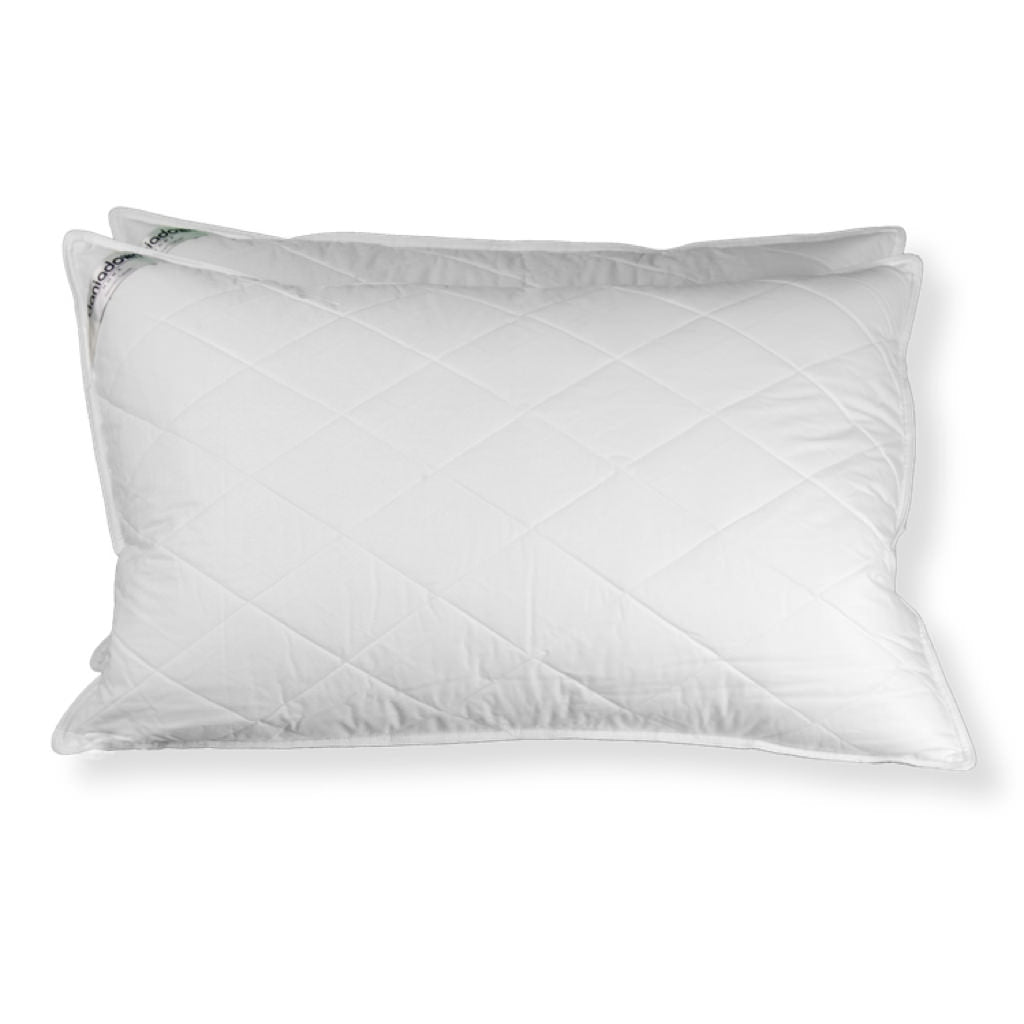 Down Pillow - 700 Fill – Feathered Friends