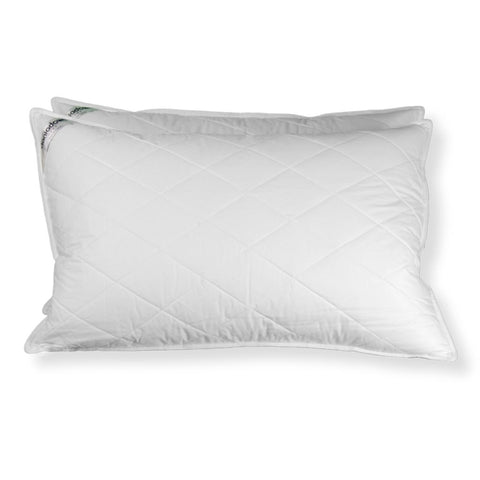 Two Daniadown Classic Feather Pillows on a white background.