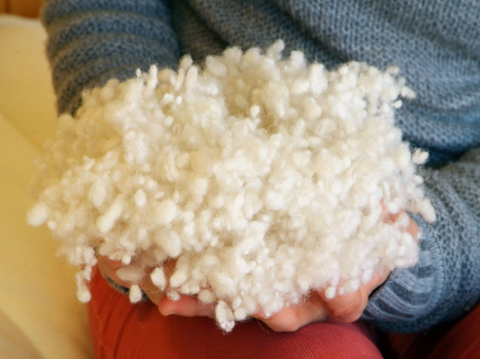 A person holding a pile of Holy Lamb Organics Wooly Down Bed Pillow made with Premium Eco-Wool.