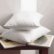 Three JS Fiber Hollofil II Pillows | Medium on a table with a plant on top.