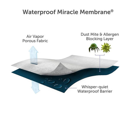 Protect-A-Bed Basic Waterproof Pillow Protector with a dust mite resistant miracle membrane.