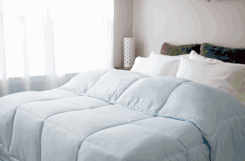 A light blue Pillowtex Dream in Color Comforter on a bed.