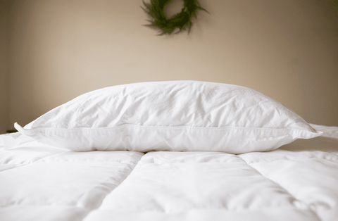 A white Pillowtex Down Alternative Pillow | Soft on the bed.