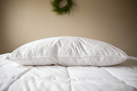A Pillowtex Premium Polyester Pillow | Medium resting on a white bed.