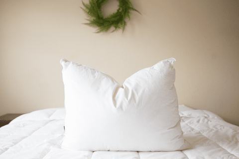 A Pillowtex Triple Core White Duck Down & Feather Pillow sits on the bed.
