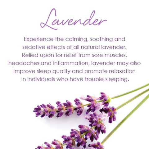 A PureCare lavender flower with the words experience the calming and effective effect of natural lavender Aromatherapy.