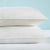 Hypoallergenic Pillows