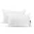 Two Pillowtex Pillow Insert polyester pillows on a white background.