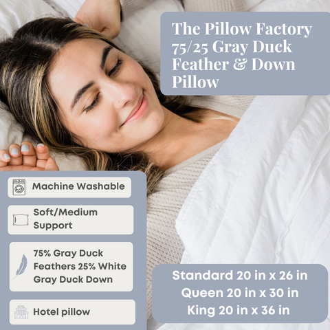 The Pillow Factory 75/25 Gray Duck Feather & Down Pillow factory.