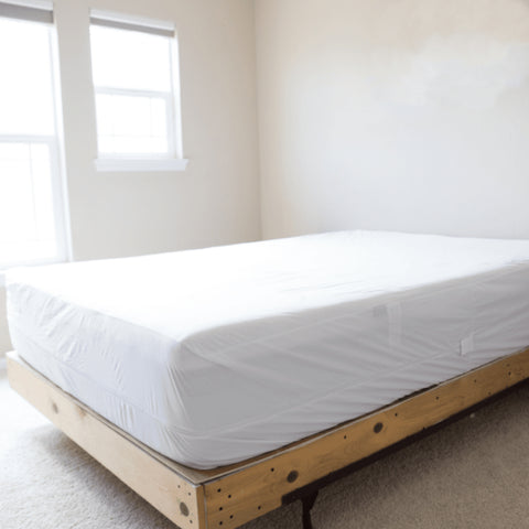 A minimalist bedroom featuring a bare wooden bed frame supporting a mattress covered with a plain white fitted sheet and a Pillowtex Deluxe Mattress Protector from Pillowtex. The room has white walls and a large window letting in.