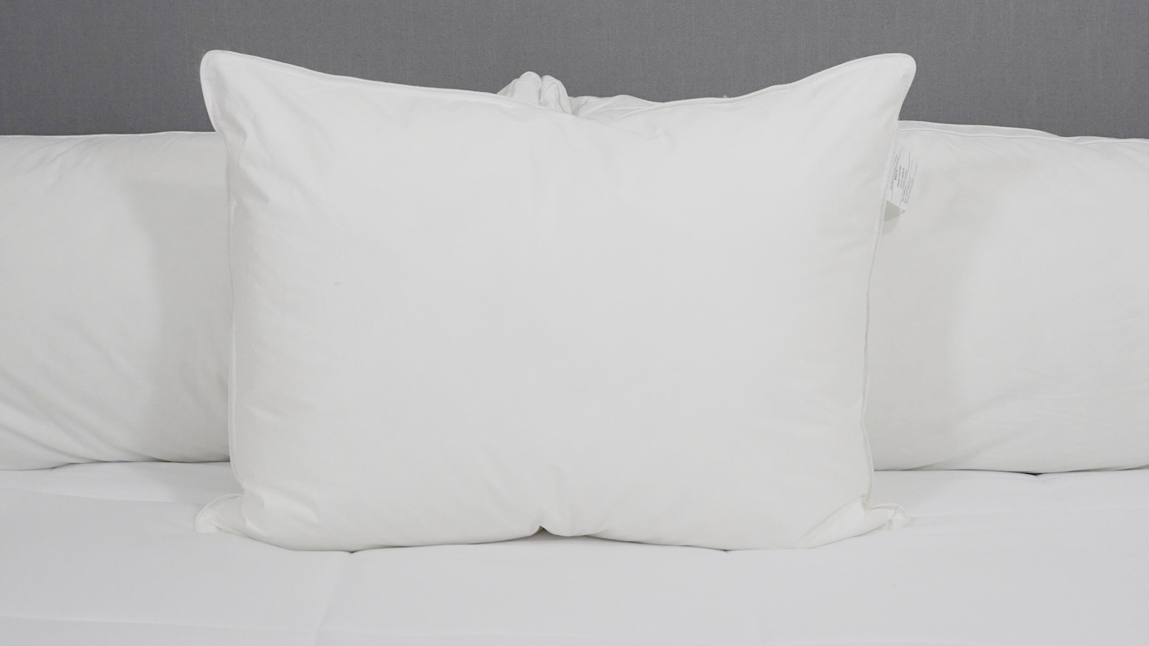 Pillowtex Blue Tag Firm Pillow