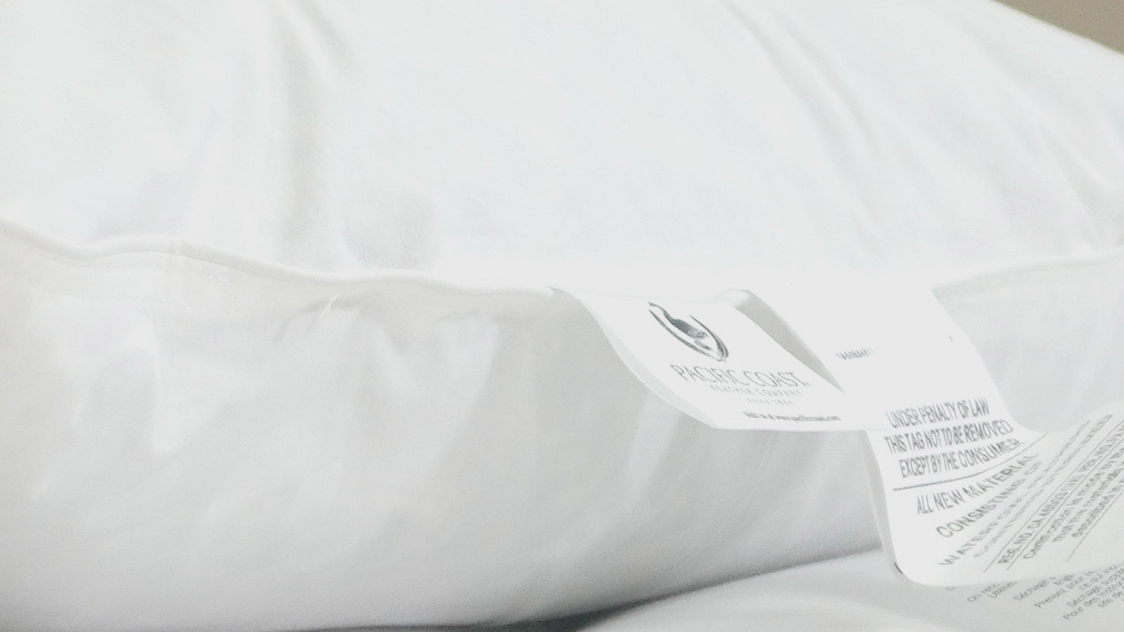 Pacific Coast® Natural Feather Pillow