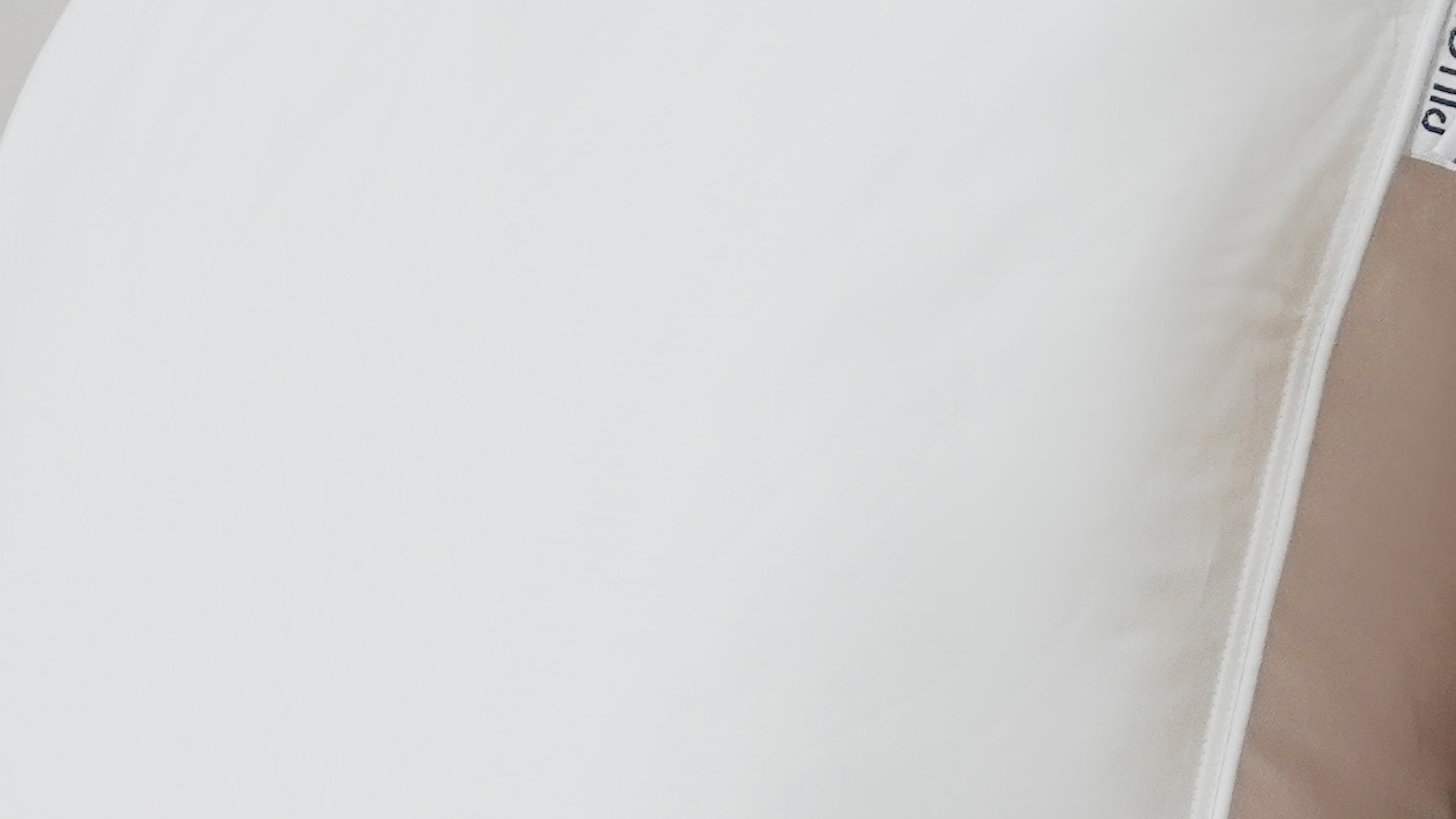 Pillowtex Premium Polyester Pillow | Soft