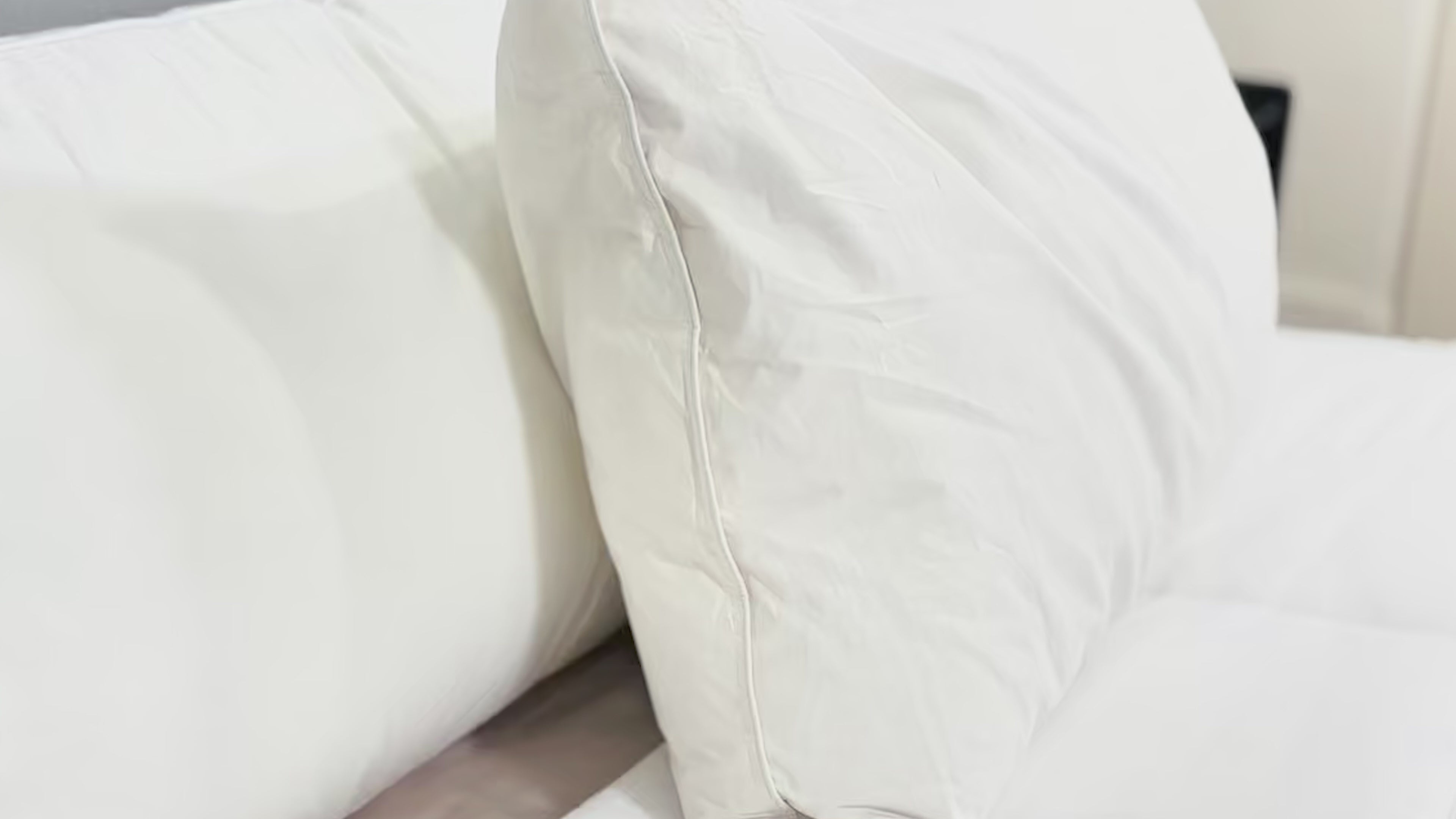 Pillowtex White Duck Down & Feather Pillow | 90% Down
