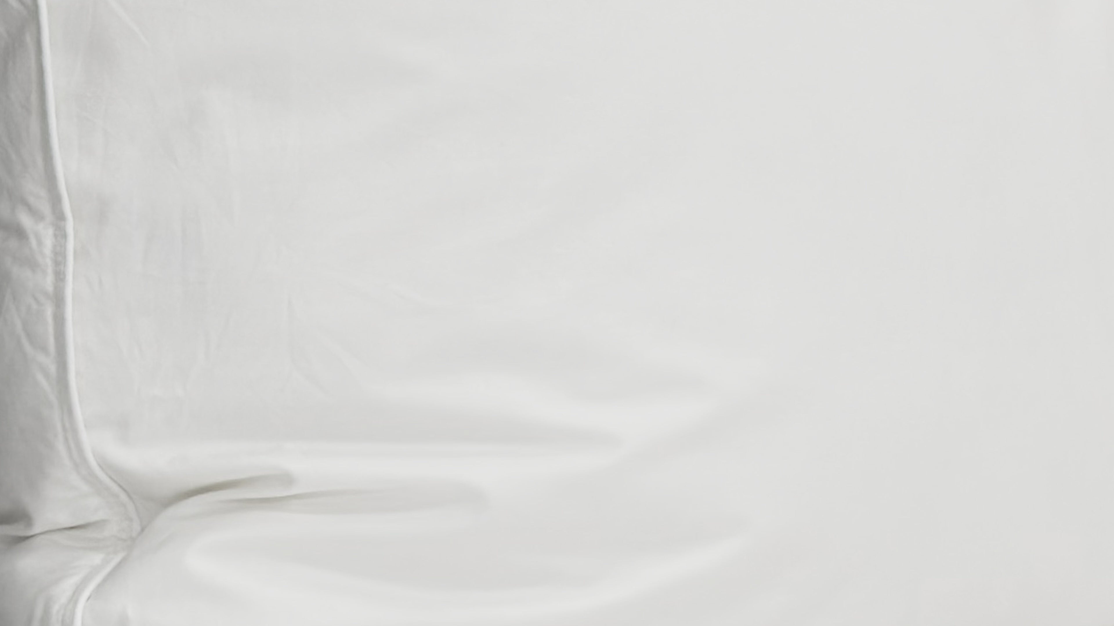 Pillowtex High End White Goose Down Pillow | Medium-Firm Support