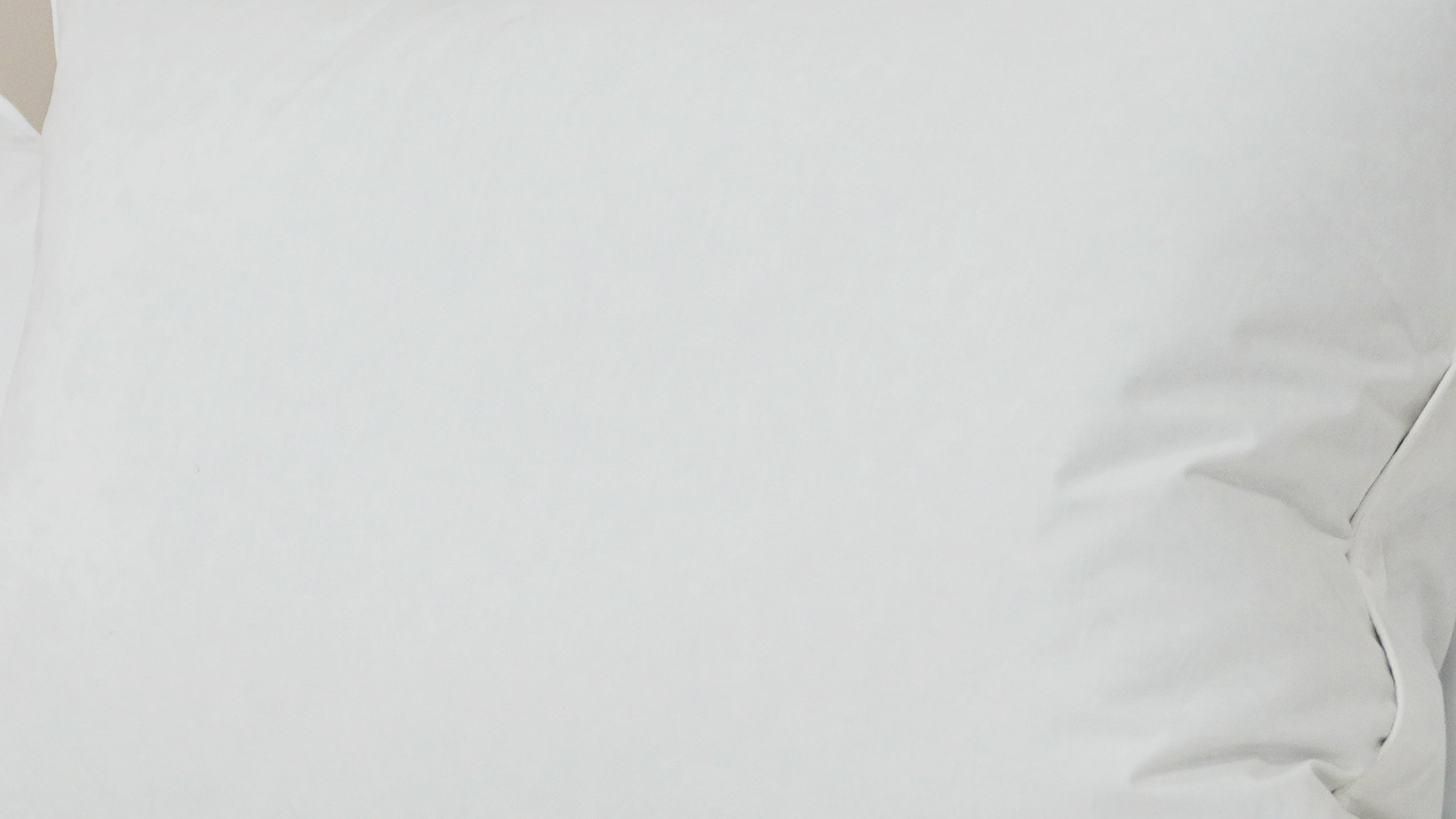 Pillowtex Luxury Core Down and Feather Pillow | 25% Feather/75% Down