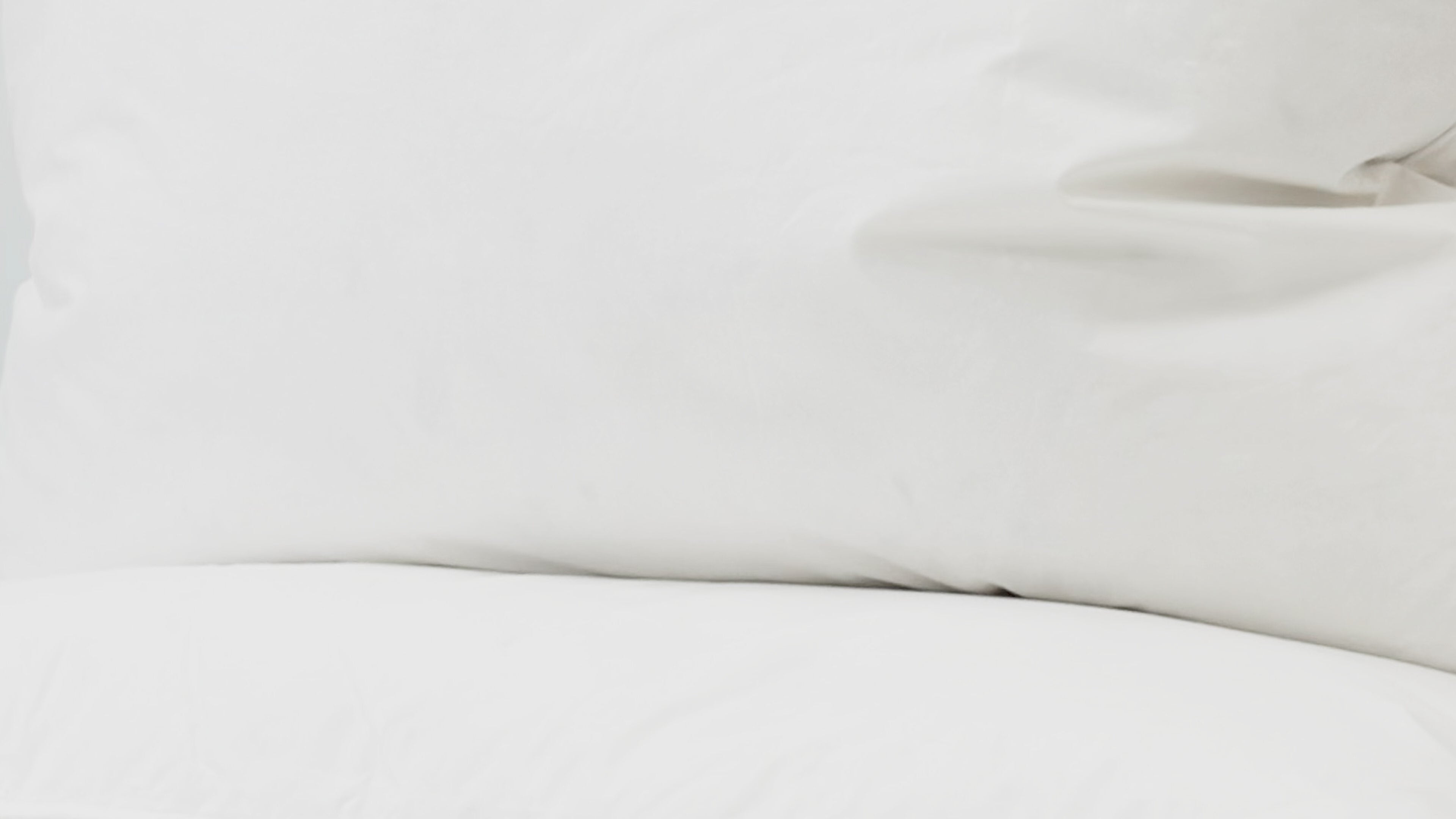 Pillowtex Triple Core White Duck Down & Feather Pillow| Medium-Soft Support