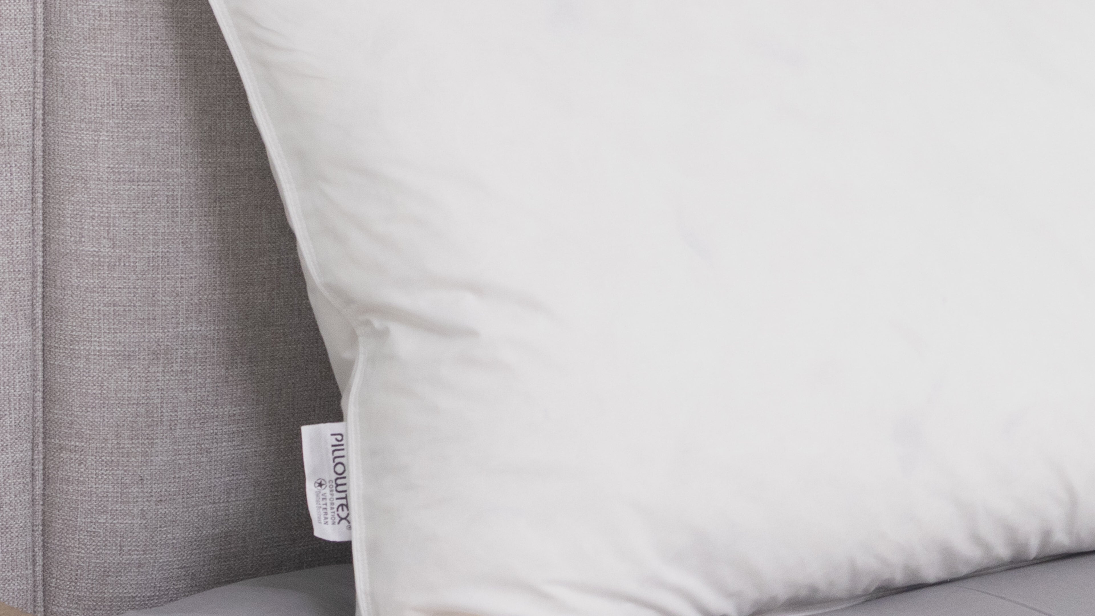 Pillowtex White Goose Feather and Down Body Pillow