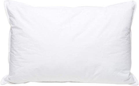 A Pillowtex High End White Goose Down pillow on a white background.