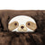 A Pillowtex sloth themed plush animal pillow with a brown and white face, perfect for snuggling.