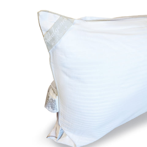 Two Indulgence® Synthetic Down Pillows by Carpenter with delicate silver embroidery along the edges, stacked partially on top of each other, against a white background. Care instruction labels are visible on the side.