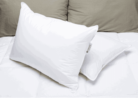 Blue label choice hotel firm pillow