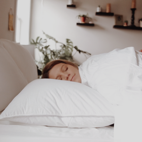 Down Dreams Classic Firm Pillow Formerly Classic Too Pillows