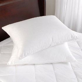 Two DOWNLITE Primaloft Down Alternative Pillows on the bed.