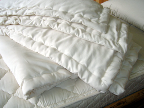 https://pillows.com/cdn/shop/products/holy-lamb-organics-reg-wool-comforter-cool-comfort-15_large.png?v=1626205534