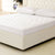 A white mattress with a Down Etc. Lily-Pad Waterproof Mattress Pad on it.