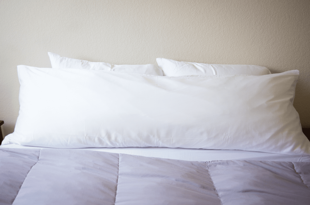 Carpenter Co. Beyond Down Body Pillow 20