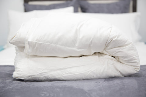 A Pillowtex Classic Weight Feather and Down Comforter on the bed.