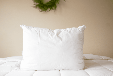 A hypoallergenic Pillowtex Down Alternative Pillow | Soft on top of a bed.
