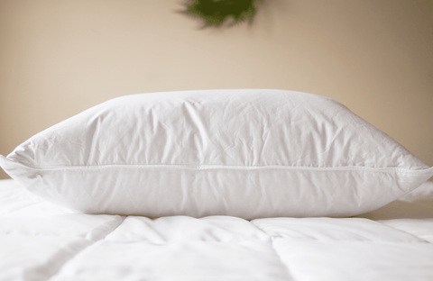 A luxurious Pillowtex Luxury Core Down and Feather Pillow rests on the bed.